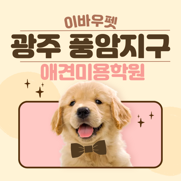  광주 풍암지구 애견미용학원, 졸업생취업 성공률 소름...!