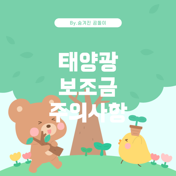  태양광 보조금 신청 시 주의할 점
