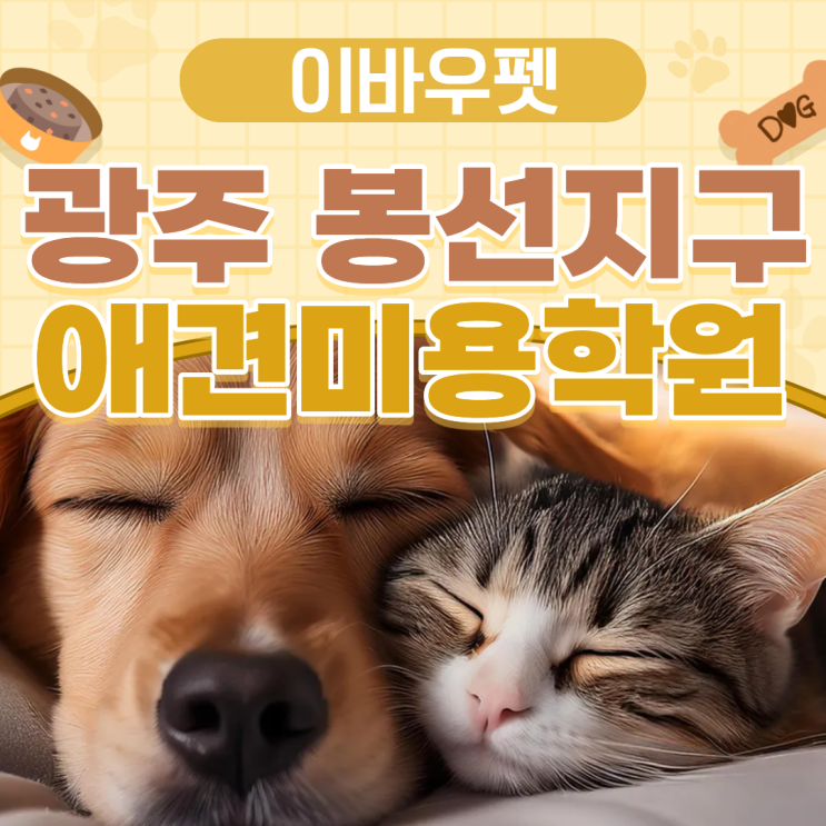  광주 봉선지구 애견미용학원 비밀,합격률 90%!