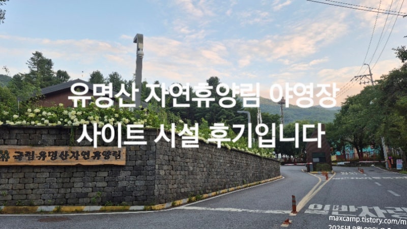 유명산자연휴양림 야영장 사이트 시설 후기입니다