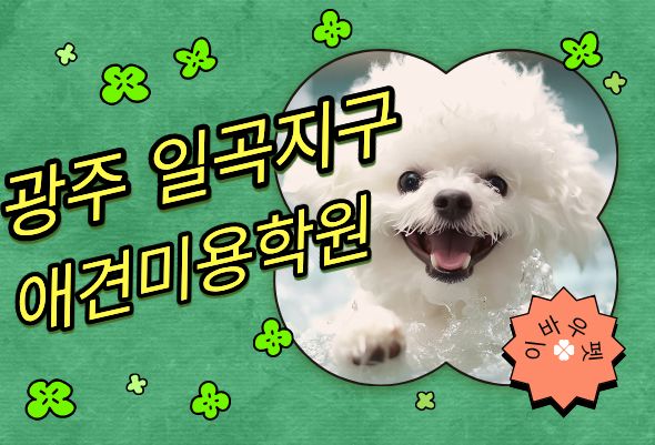  광주 일곡지구 애견미용학원, 놓치면 손해 보는 필수 정보!