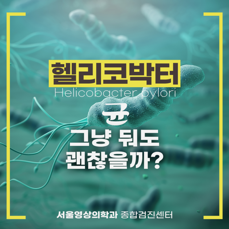  경안동내과병원, 헬리코박터균 그냥 둬도 괜찮을까