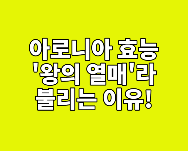  아로니아 효능, '왕의 열매'라 불리는 이유! (떫은맛 잡는 법 총정리)