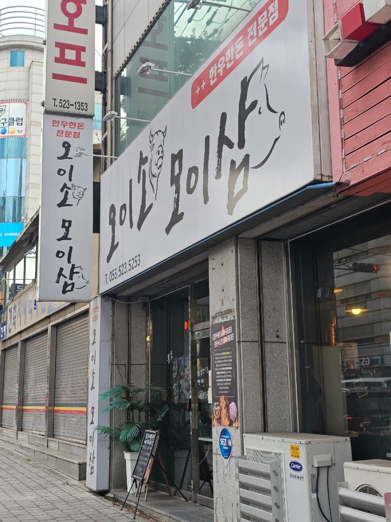 사진 5