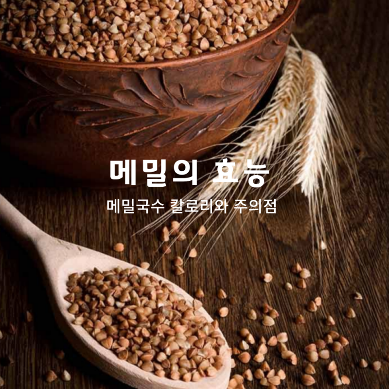 메밀국수 칼로리와 다이어트 효과, 건강에 좋은 이유