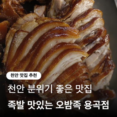  오밤족 용곡본점 족발에 와인, 분위기까지 챙긴 용곡동 맛집