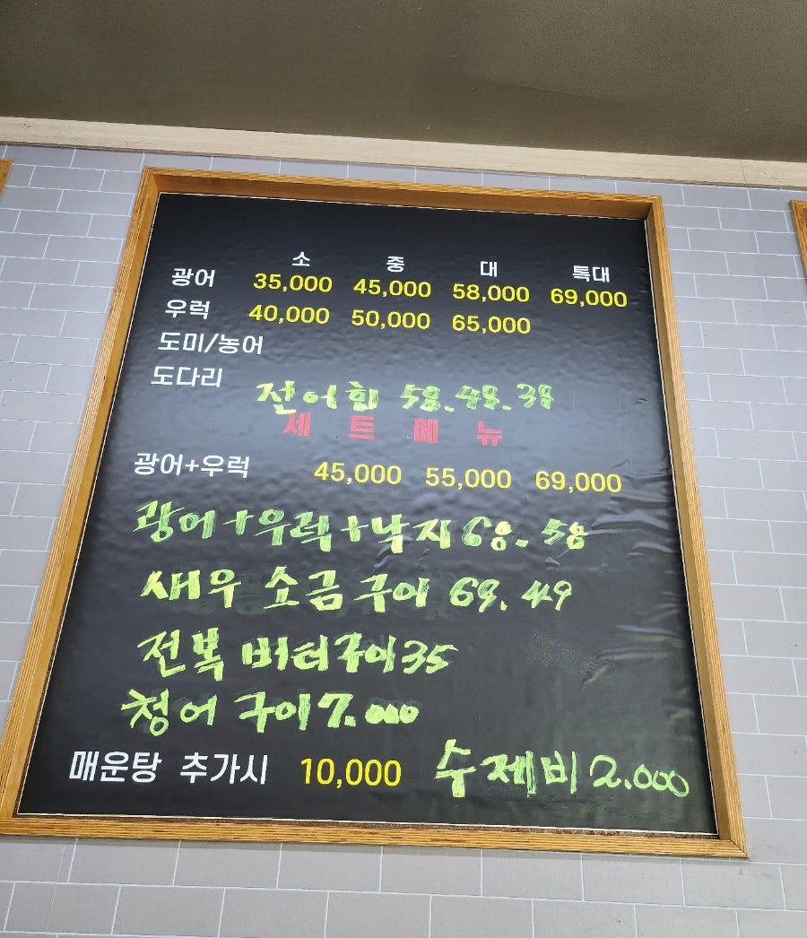데일리 피쉬 사진 4