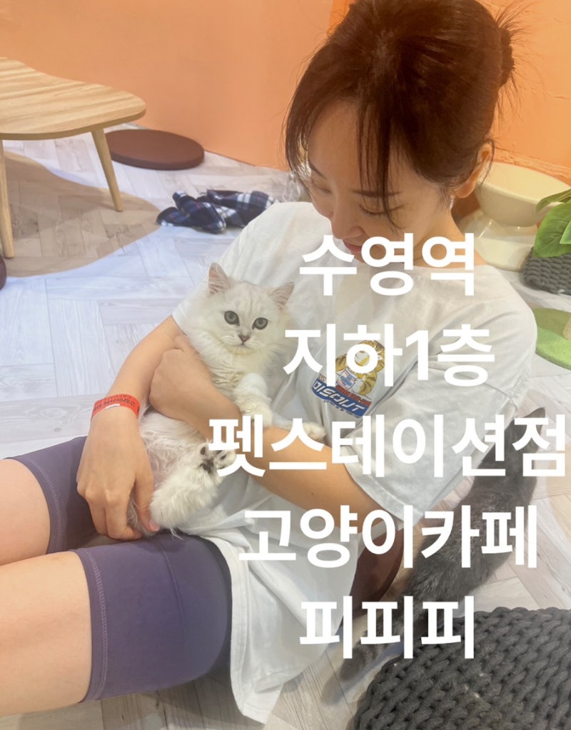 사진 3