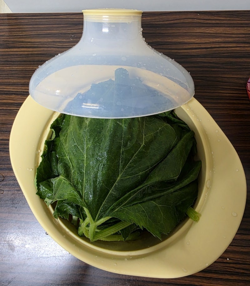 [여름 제철 요리] 호박잎 손질법 & 전자레인지 찌는 법 (간단 레시피)