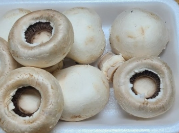  양송이버섯 보관법, '이것' 하나면 한 달 내내 신선하게! (냉장/냉동 총정리)