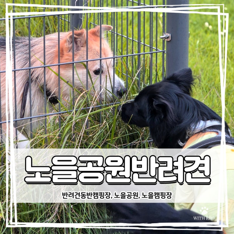 서울 노을공원 반려견 캠핑장 이용 꿀팁 총정리｜예약 방법·입장 조건·반려견 놀이터까지