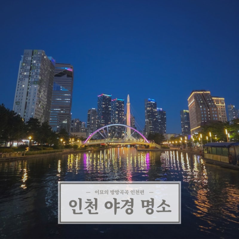 사진 5