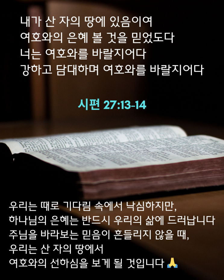  산 자의 땅에서 여호와의 선하심을 보리라 