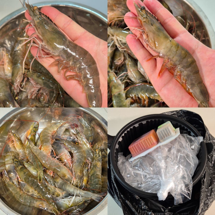  안양농수산물시장 새우 1kg 가격,마릿수,사이즈 비교 후기