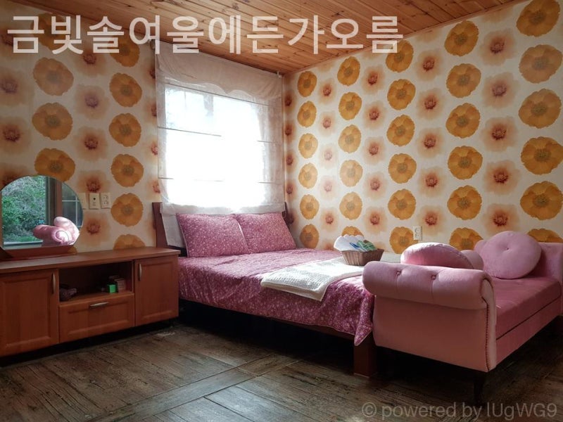 사진 4
