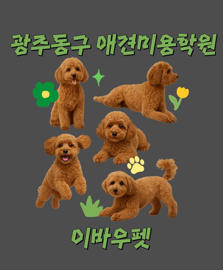  광주동구 애견미용학원 어디가 좋을까? 실습·진로 지원 꼼꼼 비교
