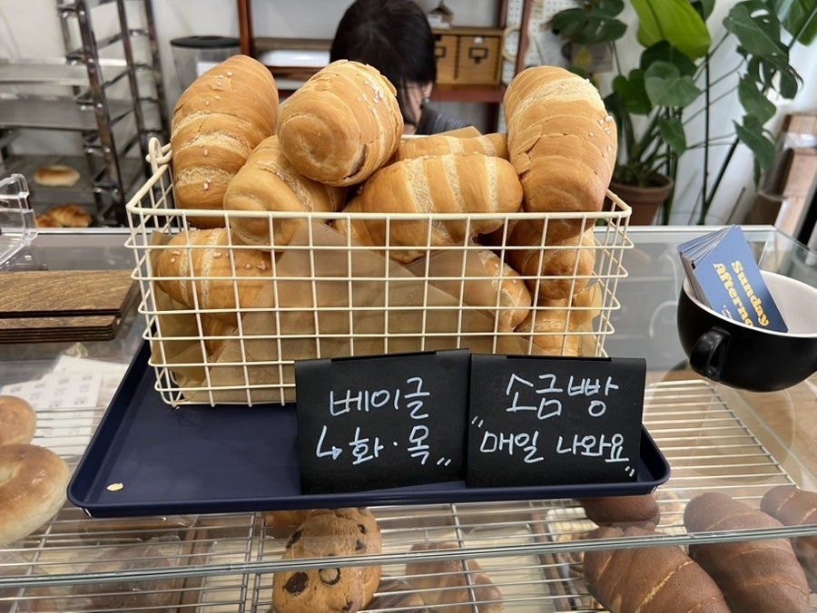 썬데이에프터눈 사진 6