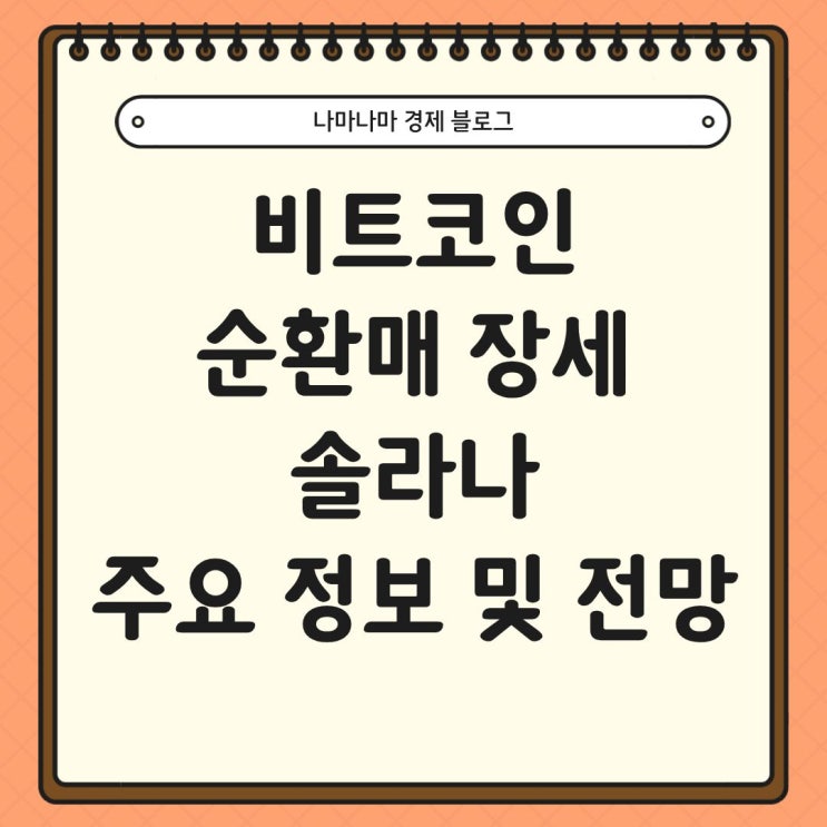  비트코인 순환매 장세 속 솔라나 주요 정보 및 향후 전망