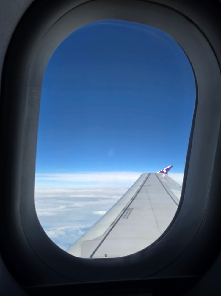  홍콩익스프레스 항공 대구공항 청주공항 직항, 홍콩 여행 경비 줄이는 꿀팁!