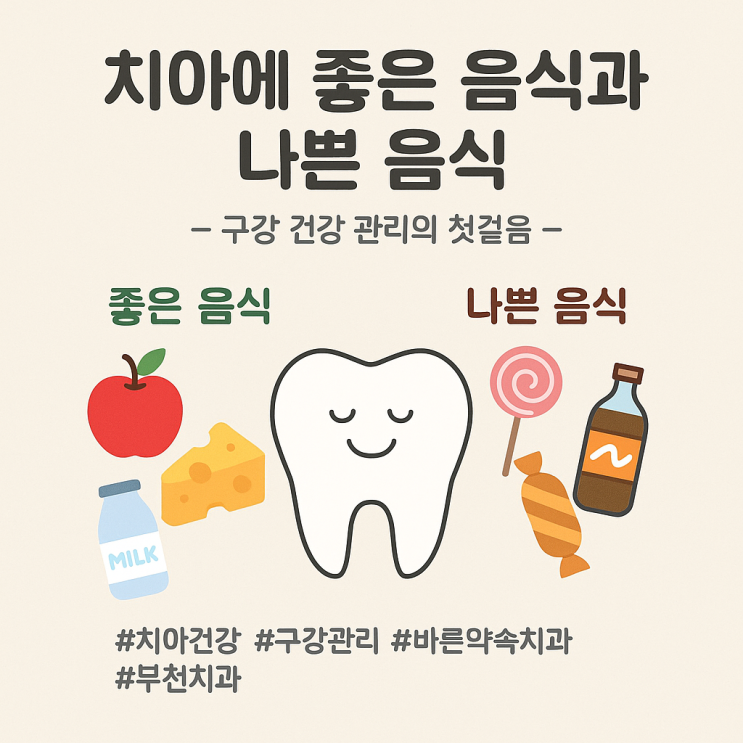   치아에 좋은 음식과 나쁜 음식 — 구강 건강 관리의 첫걸음