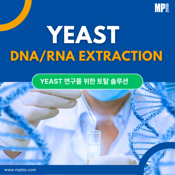  [Yeast 연구제품-2편] 효모(Yeast) DNA/RNA 추출, 어렵게만 느껴지셨나요? – MP Bio SPINeasy Kit 시리즈로 간편하게 해결!