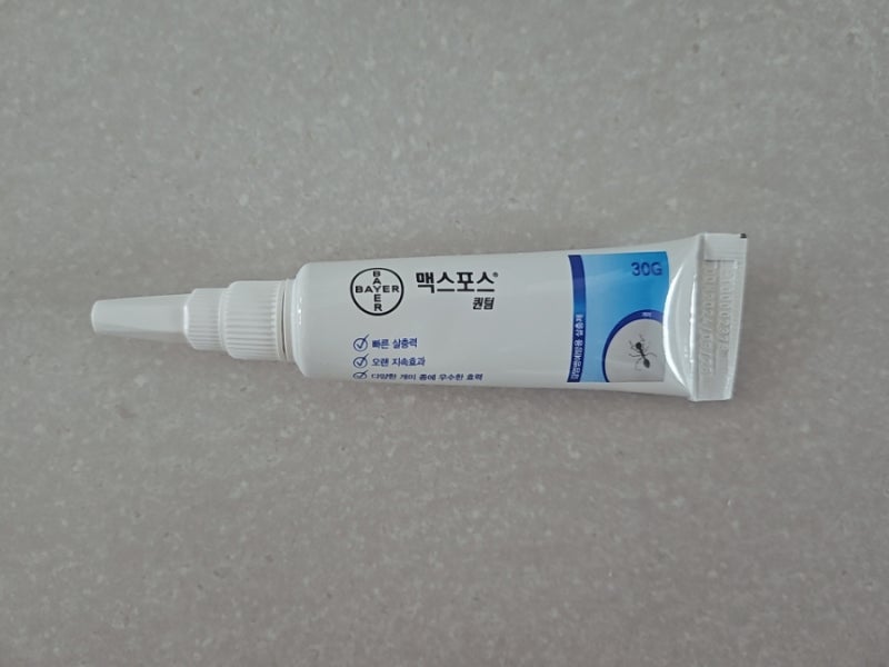 [맥스포스 퀀텀] 집 개미 박멸, 개미집 위치 알아내는 법, 아기 있는 집