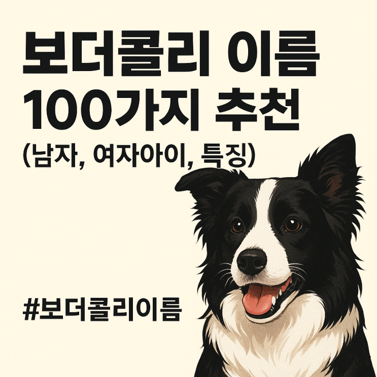 보더콜리 이름 100가지 추천(남자, 여자아이 특징)