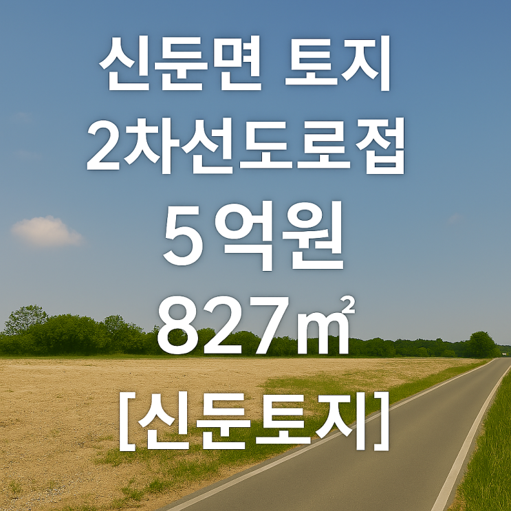  놓치지 마세요! 이천 신둔면 2차선도로 접 토지 (827), 5억원 투자 기회!아파트예정지인접