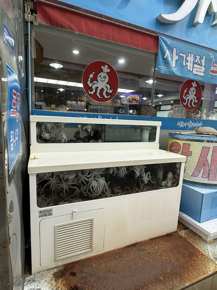 이가네낙지마당 사진 2