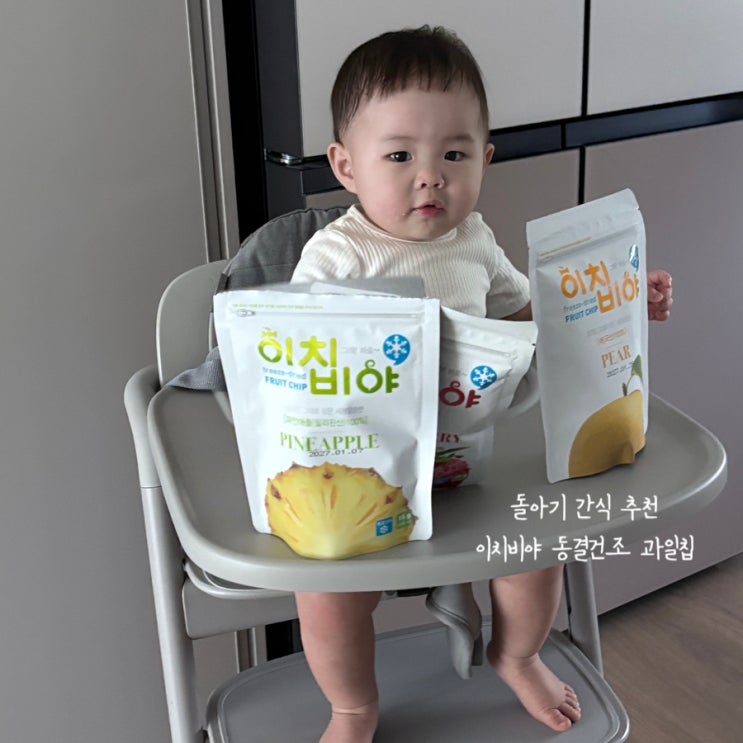  돌아기 간식 이치비야 동결건조 과일칩 내돈내산 추천