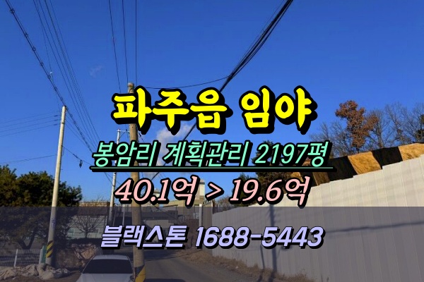  파주읍 임야 경매 봉암리 토지 2천평 건축허가부지 [2024타경87705]