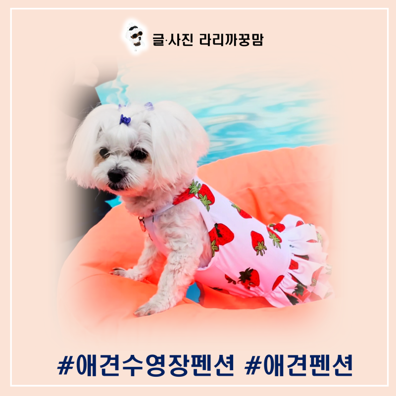 사진 6