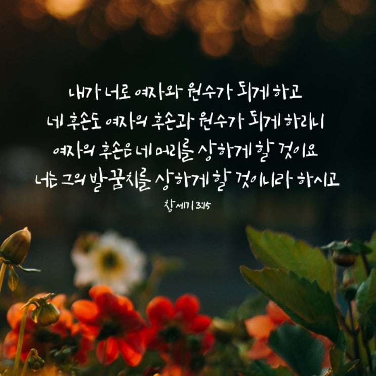  창세기 3장 15절/ 인류에게 주신 첫 복음의 약속