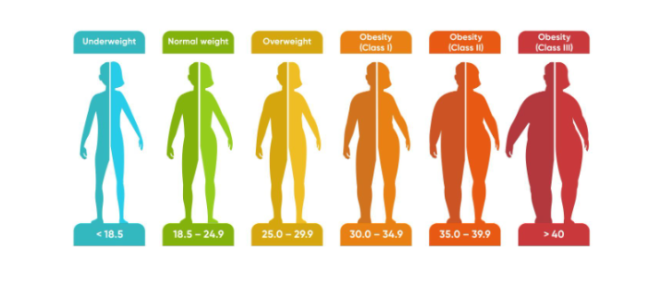  BMI 계산하기 체질량 지수 계산법 BMI표 정상 범위 22