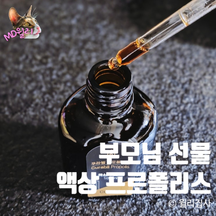  프로폴리스 원액 명절 부모님 선물 쿠라빌 국산 프로폴리스