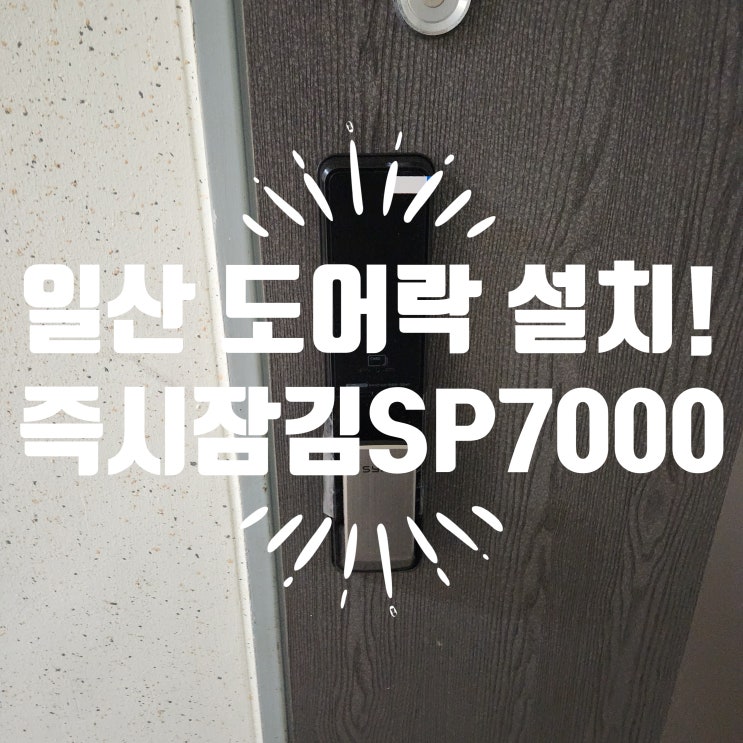  일산 도어락 설치! 가좌동열쇠 가좌마을5단지 즉시 잠김 SP7000 교체