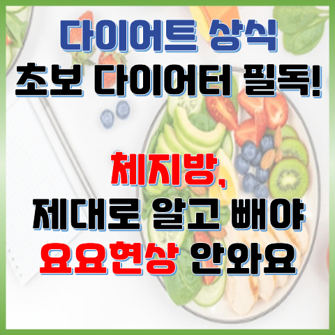  체지방, 제대로 알고 빼야 요요 현상 안 와요 (초보 다이어터 필독)