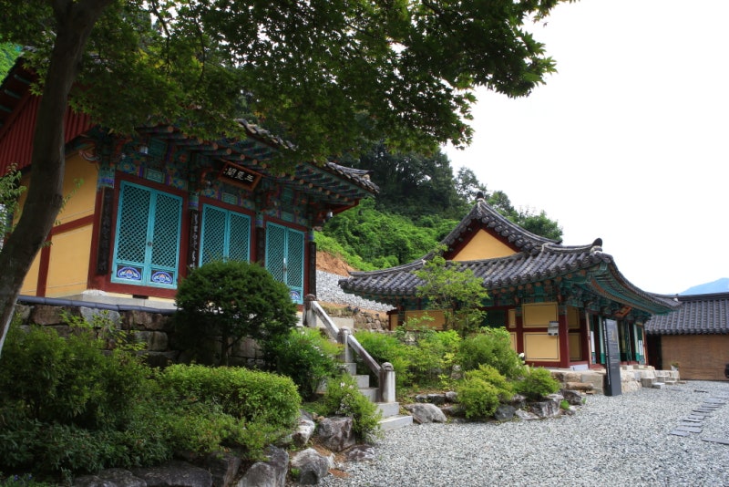 사진 3