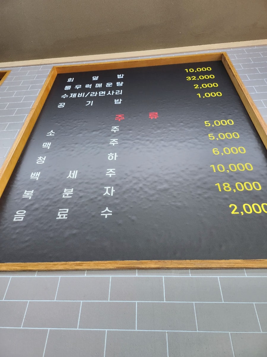 데일리 피쉬 사진 5