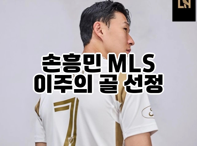 <b>손흥민 MLS 이주의</b> 골 선정