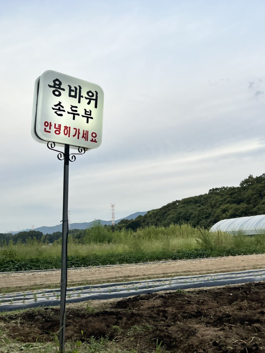 용바위손두부 사진 3