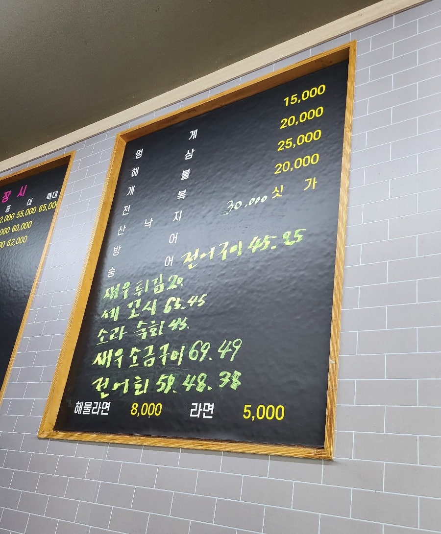 데일리 피쉬 사진 3