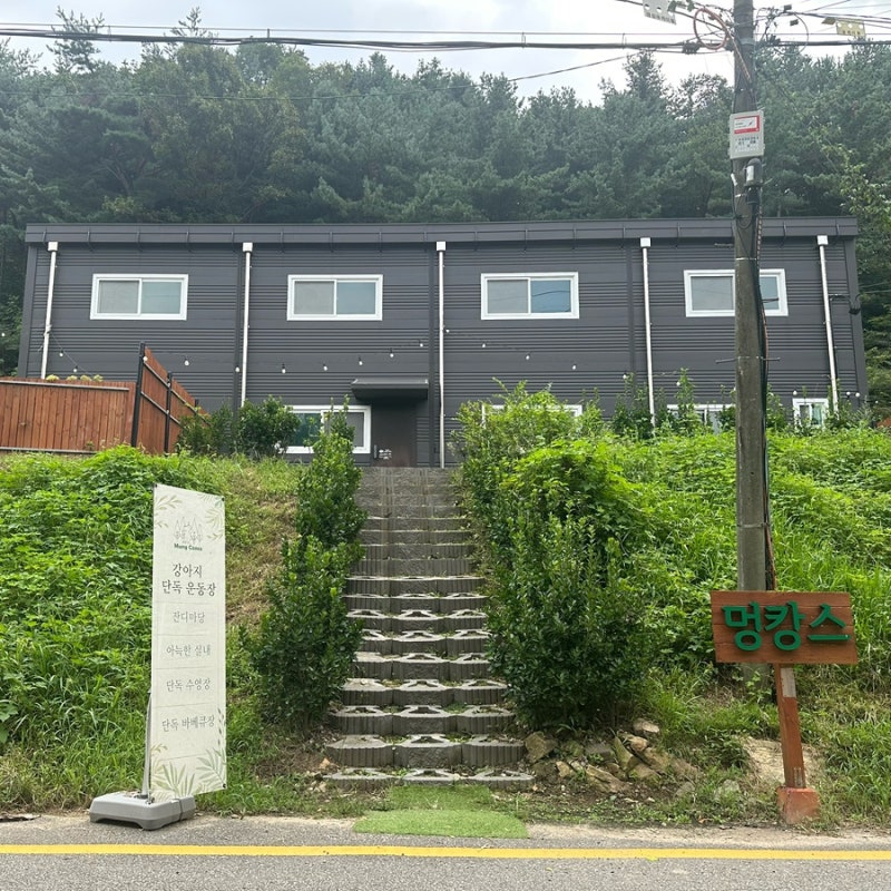 사진 6