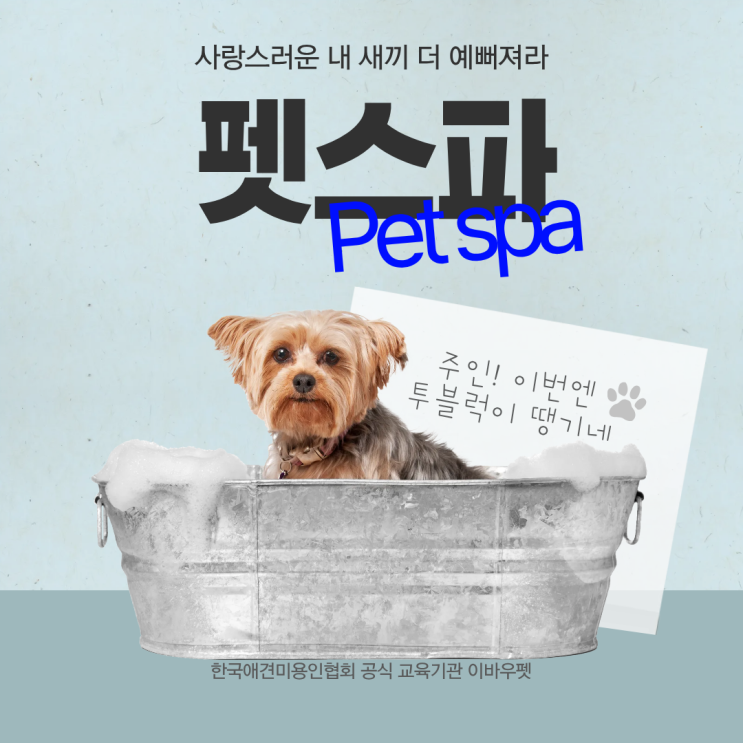  상무역강아지스파 , 창업과 취업 준비를 동시에 잡는 핵꿀팁! 