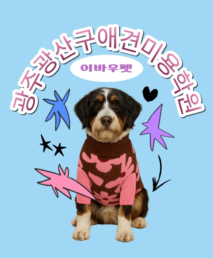 광주광산구 애견미용학원 선택법｜실습·자격증·이바우펫 추천 이유