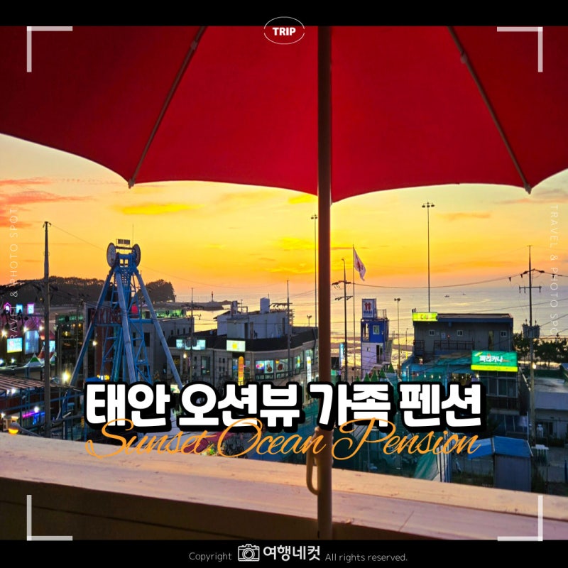 사진 4