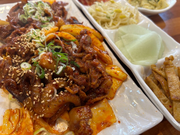  [안암역] 고려대학교 불쇼를 보며 즐기는 불맛 가득 쭈꾸미 제육볶음 맛집 <우승식당>