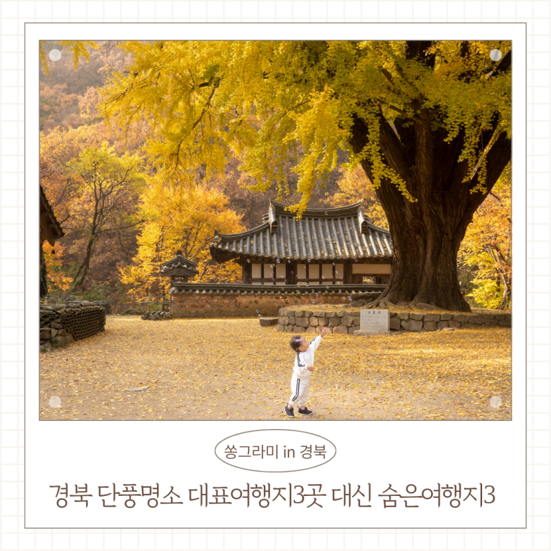 경북 단풍명소 근교 숨겨진 가을 국내 여행지 BEST 3