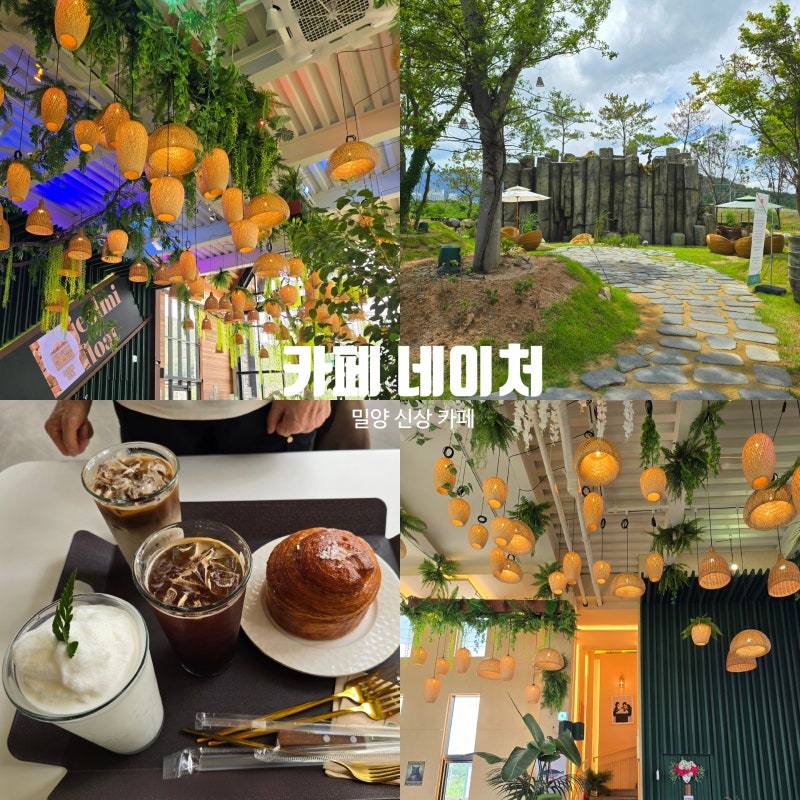 사진 5