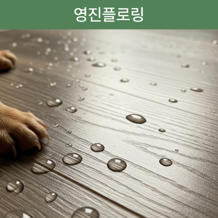  돌마루? SPC 마루, 도대체 너는 정체가 뭐야?!